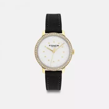 Часы Coach Rayden, 32 мм