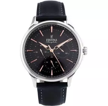 Часы FESTINA DAYDATE F16991/4