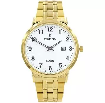 Часы Festina F20513-1