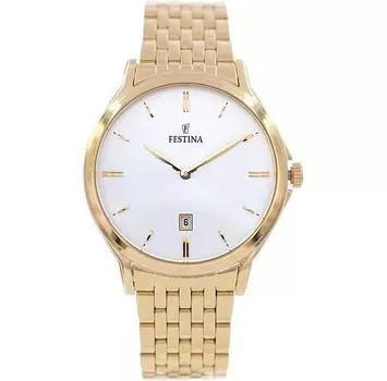 Часы Festina Trend F16746_1