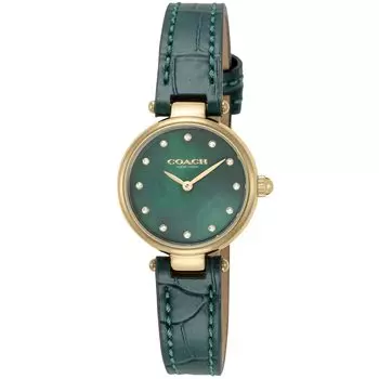 Часы PARK Park Green Pearl Dial Stainless Steel Quartz 25MM Watch 14503534 Green [Coach] Womens [Товар] зелёный