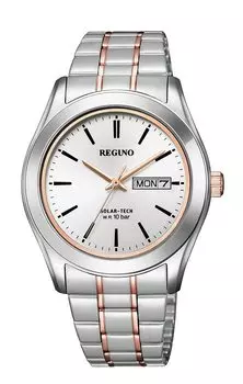 Часы Regno Multicolor [Citizen] KM1-237-91 Мужские серебряный