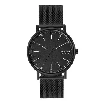 Часы SIGNATUR SKW6579 Regular Import Black [Skagen] Мужские