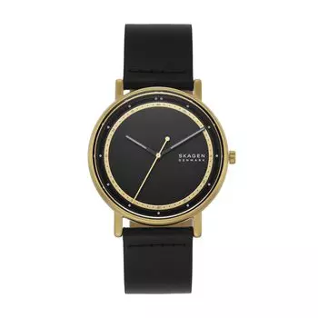 Часы SIGNATUR SKW6897 Черные [Skagen] Мужские