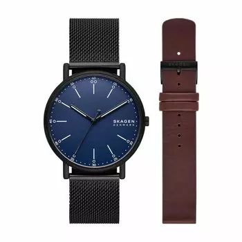Часы SIGNATUR SKW6933SET Черные [Skagen] Мужские