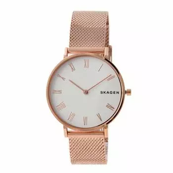 Часы SKAGEN HALD Silver Dial Rose Gold Mesh из нержавеющей стали SKW2714 [Skagen] Женские [Товар]