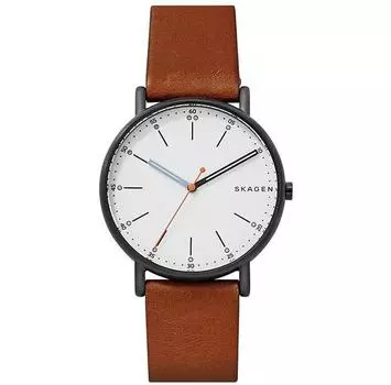 Часы Skagen Signatur SKW6374