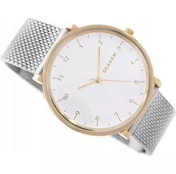 Часы Skagen SKW6170