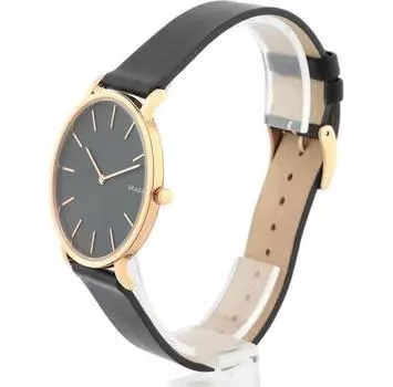 Часы Skagen Skw6447
