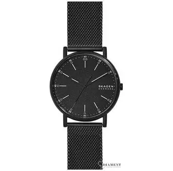 Часы Skagen SKW6579