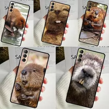 Чехол Animal Beaver для Samsung Galaxy S22 S23 S24 Ultra Note 20 10 S8 S9 S10 Plus S21 S20 FE, мягкий чехол Galaxy S9 Plus