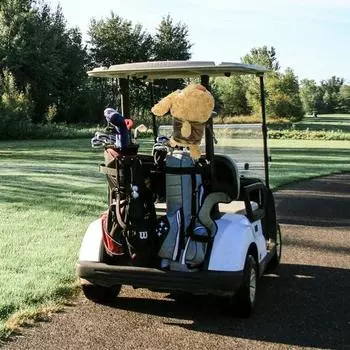 Чехол для головы клюшки для гольфа в виде плюшевого животного, кукла-животное из мультфильма, защитный чехол для головы водителя из дерева, аксессуары для гольфа для мужчин и женщин, подарок для гольфиста S