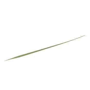Чехол для катушки DAIWA Beniga Силиконовый галстук Nakai Tune STR Slim Seaweed Green
