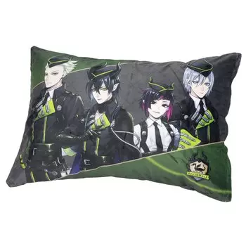 Чехол для подушки Moripiro Twist Diasomnia Green 43 см x 63 см, официальный персонаж Disney, Twisted Wonderland, микрофибра, подушка, чехол для подушки