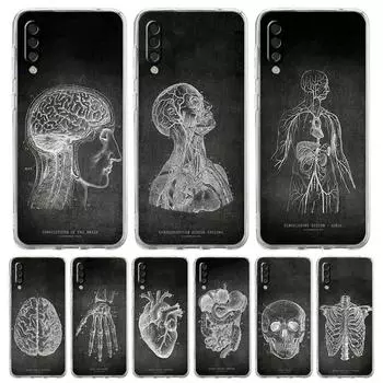 Чехол для телефона Chalkboard Anatomy для Samsung A54 A52 A50 A70 A10 A30 A40 A20S A20E A02S A12 A14 A22 A42 A72 A34 A32 5G A04s Samsung A12