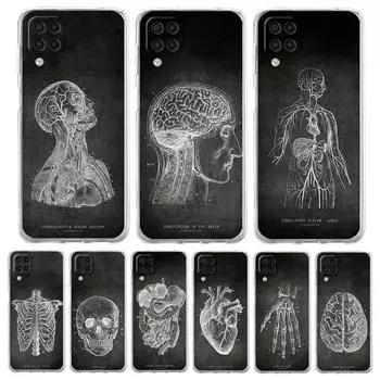 Чехол для телефона Chalkboard Anatomy для Samsung Galaxy A13 A51 A71 A21S A12 A11 A31 A52 A41 A23 A53 A73 A32 5G A03S Прозрачный мягкий чехол Samsung A71