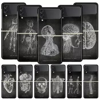 Чехол для телефона Chalkboard Anatomy для Samsung Galaxy Z Flip 4 5 3-складной черный жесткий чехол из ПК для Samsung Z Flip5 чехол Couqe бампер Samsung Z Flip 5