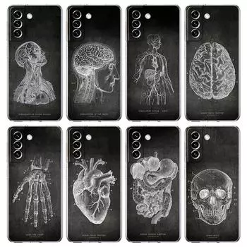 Чехол для телефона с анатомией доски для Samsung Galaxy S24 Plus S23 S22 S21 S20 FE Ultra 5G S10 S10E S9, мягкий прозрачный силиконовый чехол Samsung S24 Plus