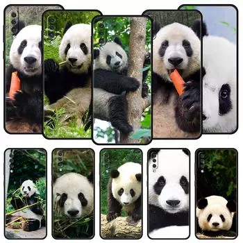 Чехол для телефона с изображением китайского медведя панды для Samsung Galaxy A12 A32 A50 A70 A20E A20S A10S A22 A30 A40 A42 A52 5G A02S A04s Samsung A20e