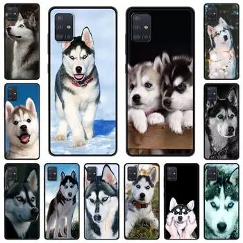 Чехол для телефона с изображением милого щенка аляскинского хаски для Samsung Galaxy A51 A71 A21S A03s A13 A33 A53 A11 A31 A52 A41 A32 5G A01, черный Samsung A11