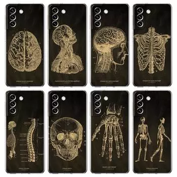 Чехол для телефона с изображением скелета и доски для Samsung Galaxy S24 Plus S23 S22 S21 S20 FE Ultra 5G S10 S10E S9 Samsung S24Ultra