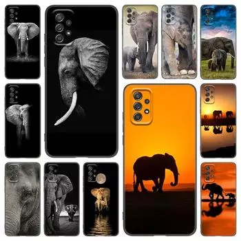 Чехол для телефона с изображением слона для Samsung Galaxy A21 A30 A50 A52 S A13 A22 A32 A33 A53 A73 5G A11 A12 A31 A51 A70 A71 A72 Samsung A11