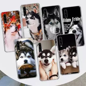 Чехол для телефона с изображением собаки сибирского хаски для Huawei P30 P20 P10 P40 P50 Pro Mate 20 40 30 10 Lite, популярный чехол Fundas Art Gift Coque Huawei P30