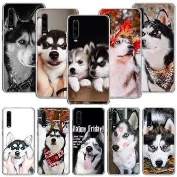 Чехол для телефона с изображением собаки сибирской хаски для Huawei P30 P40 P20 P10 P50 Mate 20 10 30 40 Lite Pro Plus с принтом Huawei P30