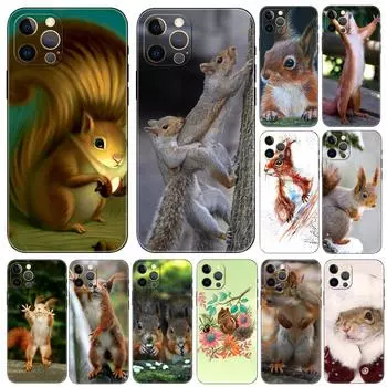 Чехол для телефона с милой белкой для iphone 5 5S 2020se 6 6s 7 8 plus x 10 XR XS 11 12 13 mini pro MAX, черная задняя крышка из ТПУ iphone 5 5S SE 2016