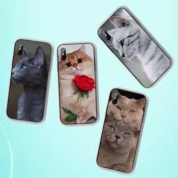 Чехол для телефона с милым котом для Iphone 11 12 13 Pro Max 5S 6S 7 8 Plus X Xr Xs Max Se 2020 13 Mini Case Cover iphone 11Pro