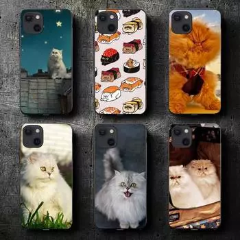 Чехол для телефона с персидским котом для Iphone 11 12 Mini 13 14 Pro Xs Max X 8 7 6s Plus Se Xr Shell iPhone13mini