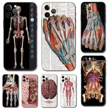 Чехол для телефона с принтом человеческого скелета для iPhone 14 5s 2020se 6 6s 7 8 plus x 10 XR XS 11 12 13 mini pro MAX черная задняя крышка из ТПУ iPhone 14