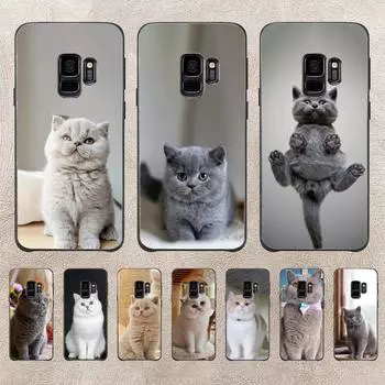 Чехол для телефона «Серый кот» для iPhone Samsung Galaxy Redmi Xiaomi Oppo OnePlus Note SA 7 8 9 10 11 12 13 14 20 21 22 23 53 54 Pro Max Plus Ultra TPU Soft iPhone 6 or 6S