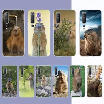 Чехол для телефона YNDFCNB Animal Funny Capybara Bling для Samsung S21 A10 для Redmi Note 7 9 для Huawei P30Pro Honor 8X 10i Samsung S21