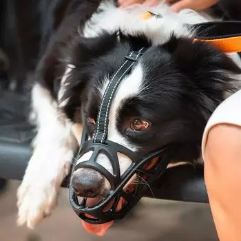 Чехол на рот собаки, устойчивый к облизыванию, укусам, антихаотичный, дышащий, регулируемый, для питья, еды, светоотражающий, намордник для домашних животных S