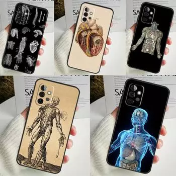 Чехол с анатомией человека для Samsung Galaxy A54 A34 A14 A13 A33 A53 A12 A32 A52 A71 A51 A15 A25 A35 A55 Samsung A51 4G