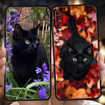 Чехол с черным кошачьим взглядом для Samsung A15 A13 A51 A71 A41 A31 A21S A11 A03S A05 A12 A32 A52 A22 A23 A25 A33 A53 A73 5G Samsung A41