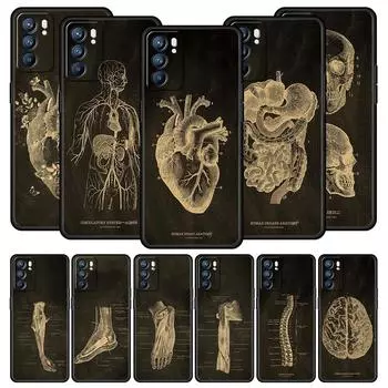 Чехол с изображением скелета и доски для мела в виде сердца для Oppo Find X6 X5 A54 A53 A52 A9 A15 A95 A17 A16 A76 A74 A57 A31 A3s Reno8 Reno6 Pro Oppo A52