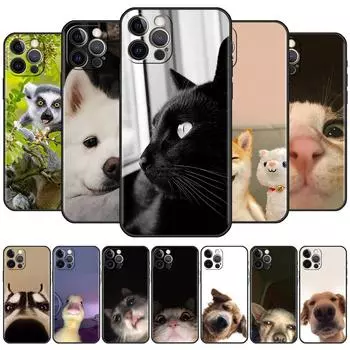 Чехол с забавным животным котом и собакой для Apple iPhone 11 12 13 Pro XS Max XR 7 8 Plus SE 2020 X 6 6S 5 5S, мягкий силиконовый чехол для телефона iPhone 5 5S SE