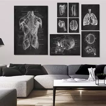 Человеческая мышца, кость стопы, сердце, анатомия скелета, постеры, картины на холсте и принты, художественное оформление Куадрос, настенная роспись, домашний декор комнаты без рамки 21*30cm No Frame