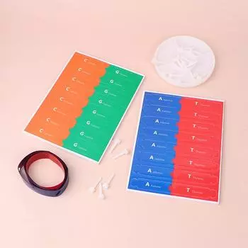 Человеческие гены ДНК модели двойной спирали научные игрушки преподавание обучения образовательная игрушка