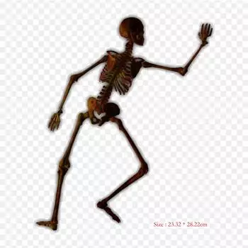 Человеческий скелет, термопереносная печать, виниловые нашивки, наклейки для одежды, аппликации «сделай сам», моющиеся нашивки