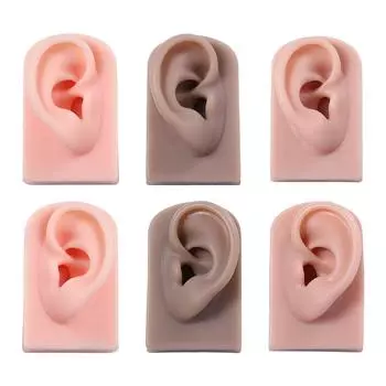 Человек для обучения слуху Поддельные ушные украшения Серьги Дисплей Силиконовая модель уха Left dark
