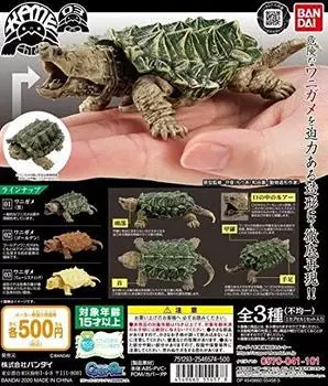 Черепаха 03 Все 3 вида полный комплект (включая секрет) Bandai [предмет бронирования на ноябрь] Крокодиловая черепаха