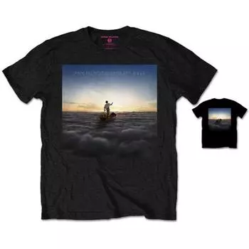 Черная футболка унисекс Pink Floyd Endless River
