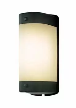 Черная лампа Panasonic Porch Light продается отдельно NNN12621B (Не матовый) (E26)