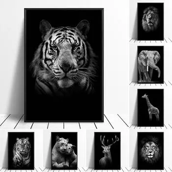 Черно-белая картина маслом дикой природы, тигр, лев, изображение слона, настенный художественный плакат и гравюра в гостиной 21cm30cm NoFrame