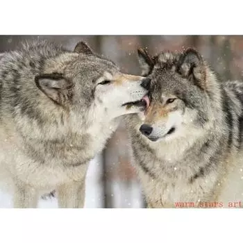 Черно-белые волки Холст Живопись Снежный волк Постеры и Принты Скандинавское Животное Настенное Искусство Картины для Украшения Гостиной 21cm30cm NoFrame