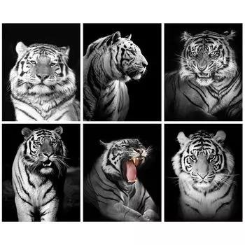 Черно-белый тигр, алмазная живопись, полная круглая алмазная вышивка, вышивка крестиком, животные, наборы картин из бисера, ремесленный Настенный декор Full Round 20x25CM