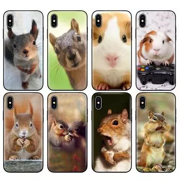 Черный чехол из ТПУ для iPhone 5 5s SE 2020 6 6s 7 8 plus x 10 чехол для iPhone XR XS 11 pro MAX белка морская свинка мышь iphone 11